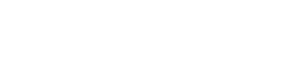 WSI Models official logo